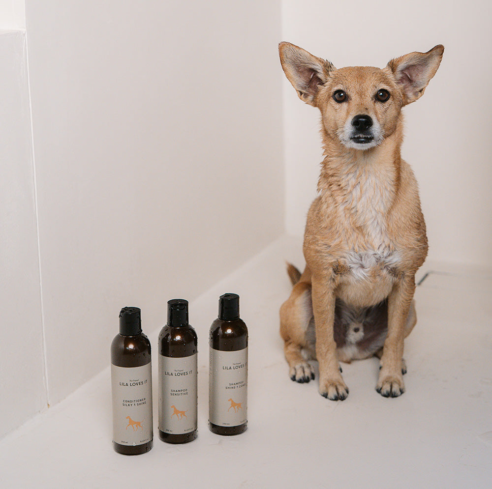 Fellkur - Conditioner von LILA LOVES IT