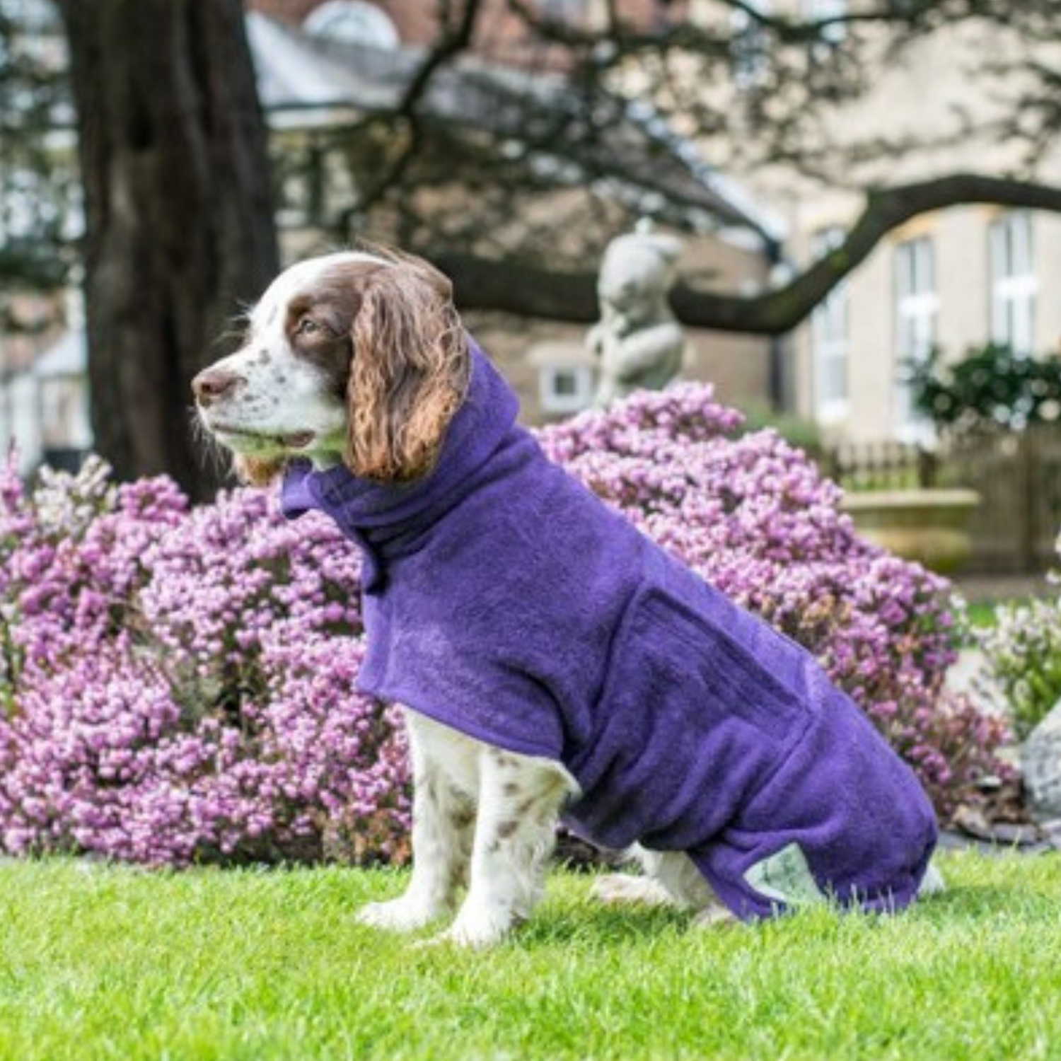 Peignoir pour chien Ruff And Tumble