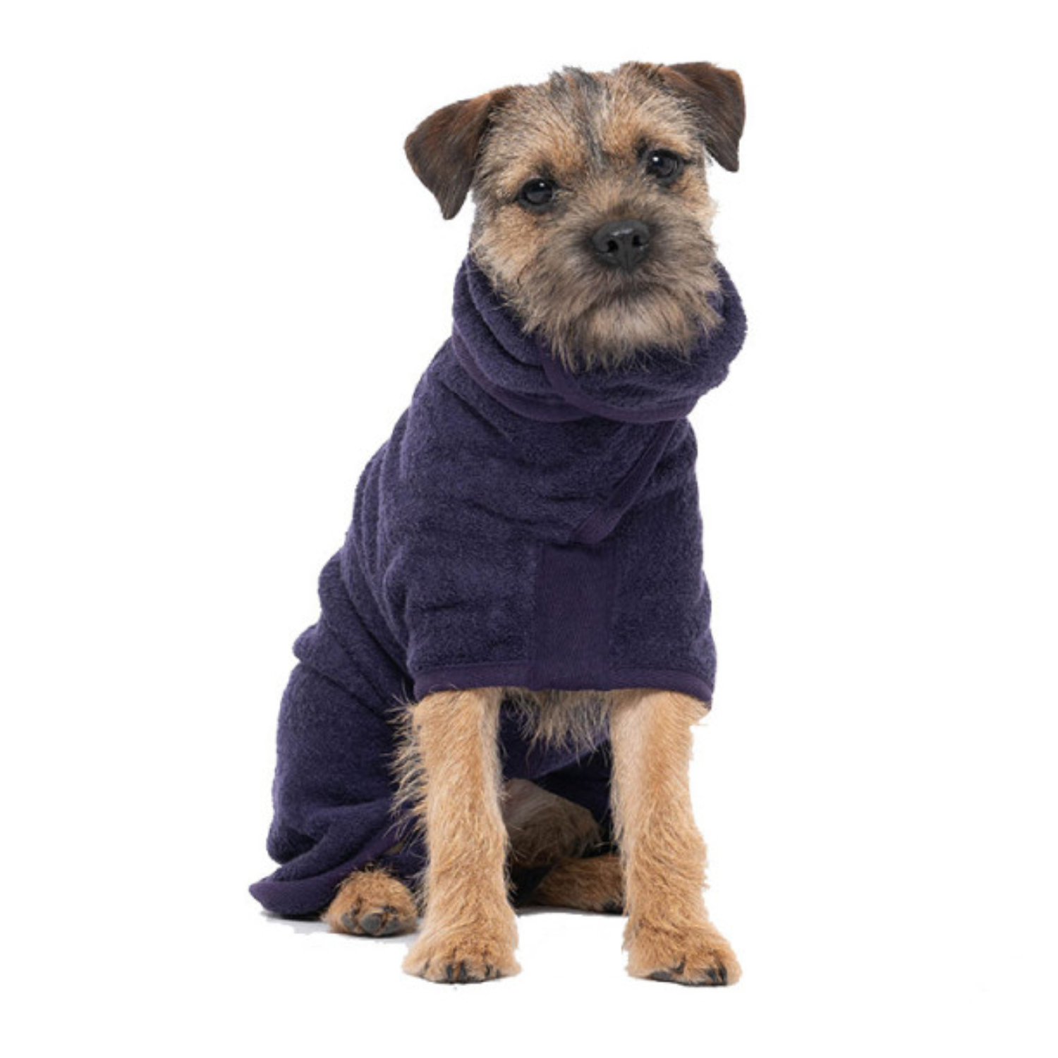 Hunde-Bademantel von Ruff And Tumble