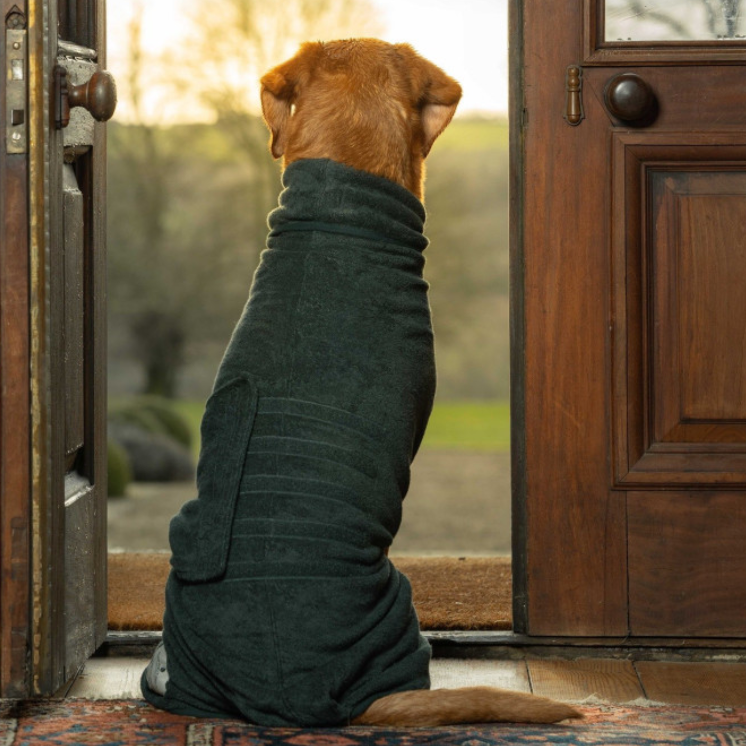 Hunde-Bademantel von Ruff And Tumble