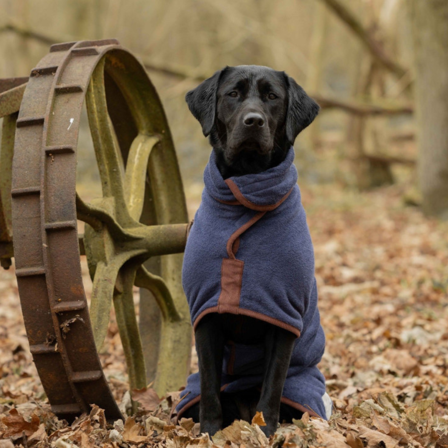 Hunde-Bademantel von Ruff And Tumble