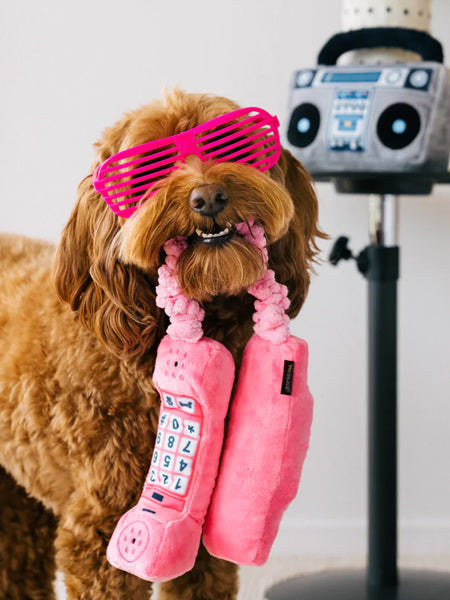 Jouet pour chien Game Bone - Pet P.L.A.Y.