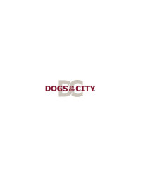 DOGS in the City