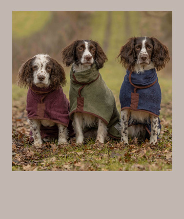 Hundebademantel
