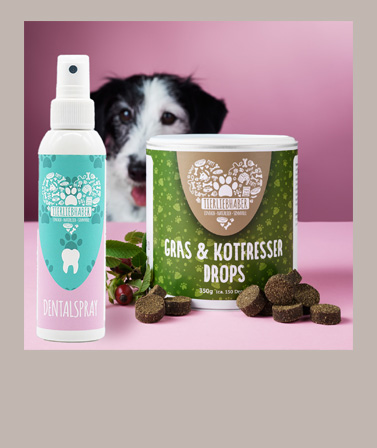 Tierliebhaber Produkte bei hundini.ch